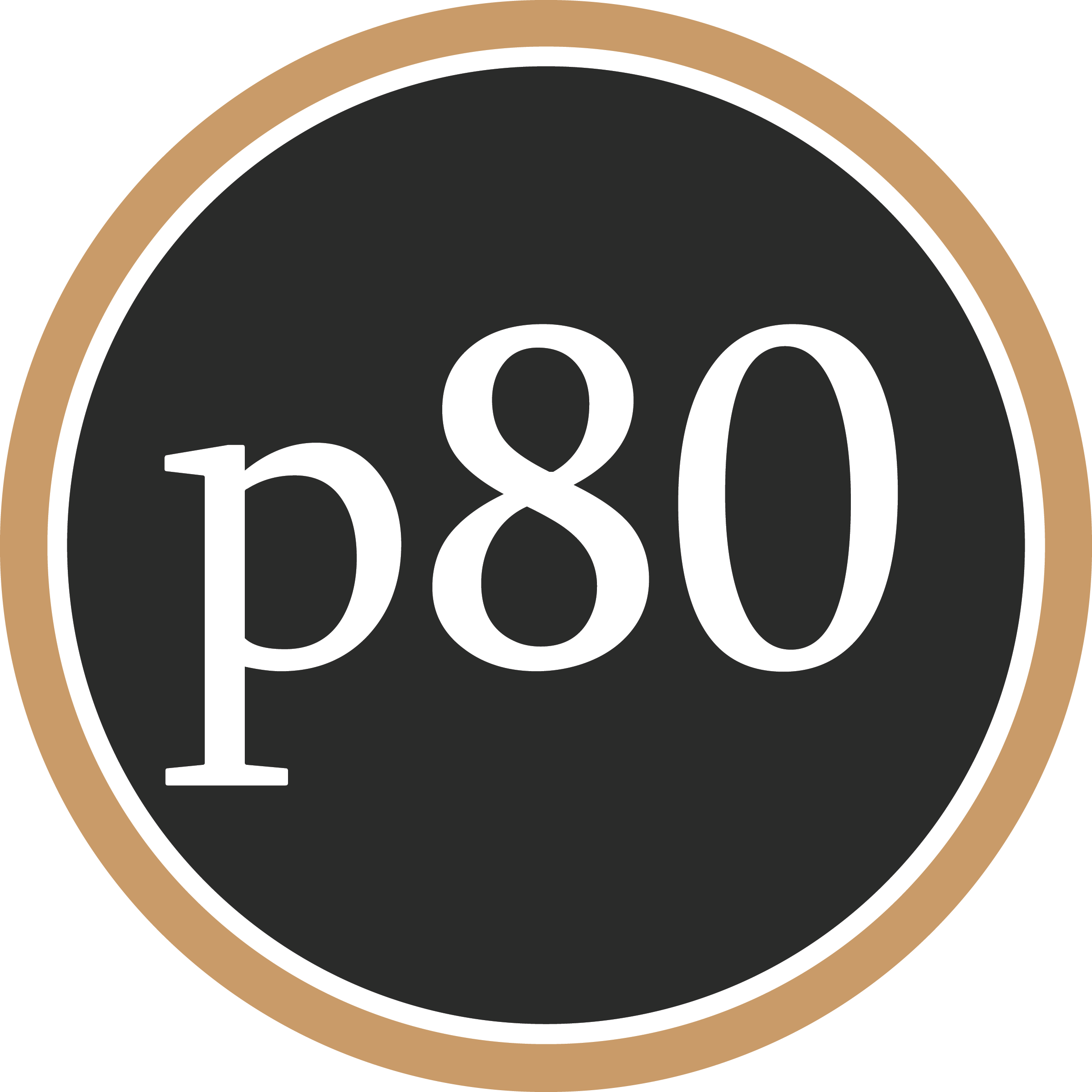 protocol 80, Inc logo